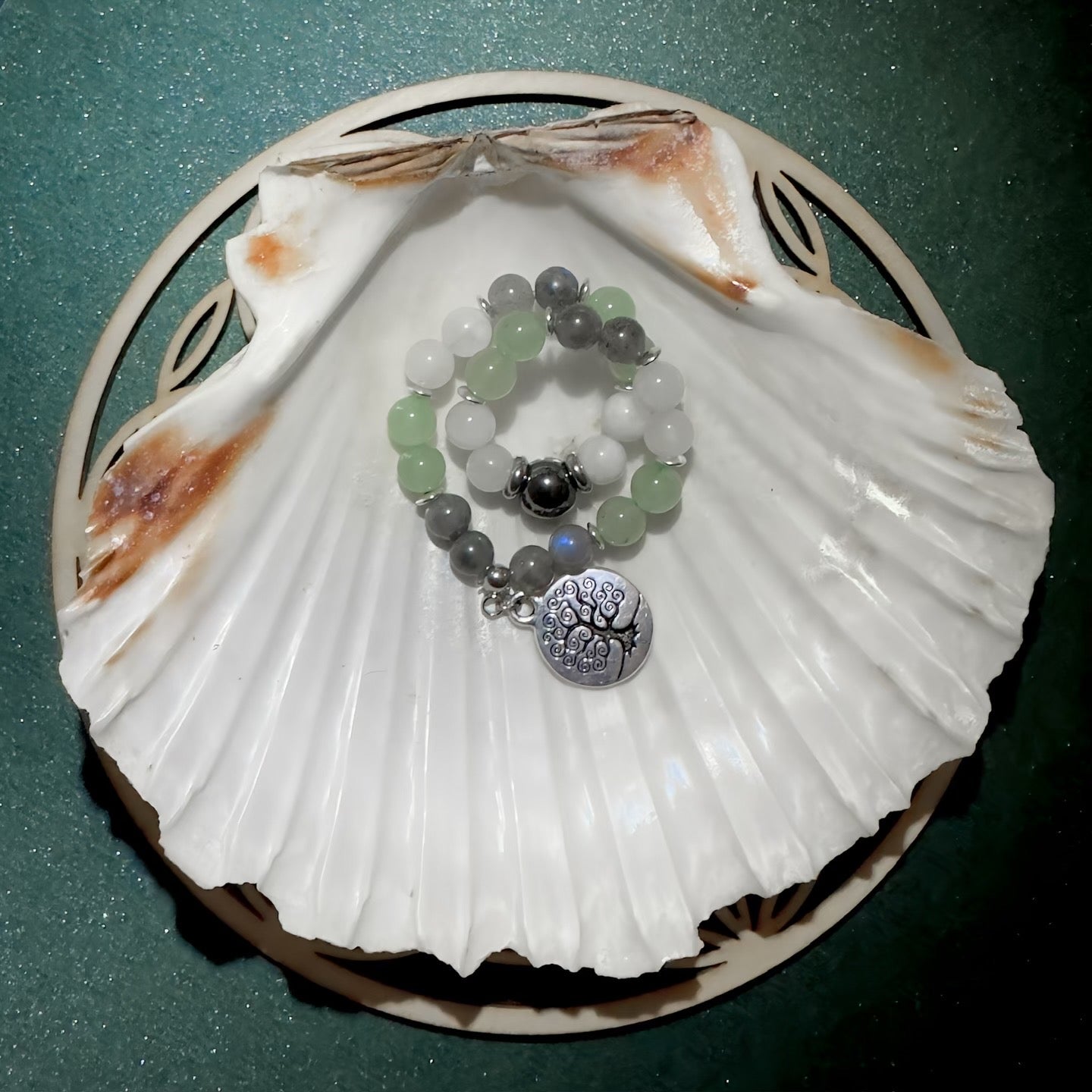 Coquille Saint-Jacques naturelle, aux teintes blanches et beige, avec une surface texturée et des bords légèrement brunis. Utilisée pour la purification énergétique.