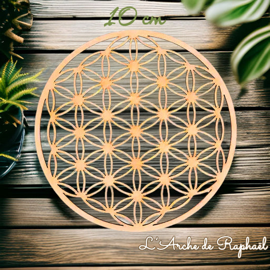 Fleur de Vie en bois naturel de 10 cm, délicatement découpée, posée sur un fond en bois avec des plantes en arrière-plan. Symbole de géométrie sacrée utilisé en lithothérapie et en décoration spirituelle.